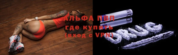 эйфоретик Калининец