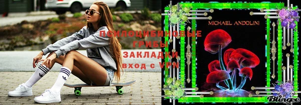 спиды Нестеровская