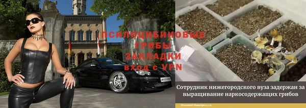 спиды Нестеровская