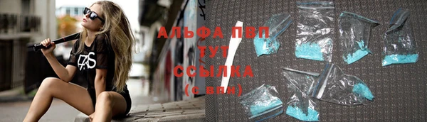 эйфоретик Калининец