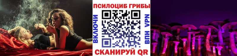 Купить закладки  Урюпинск  Псилоцибиновые грибы мухоморы 