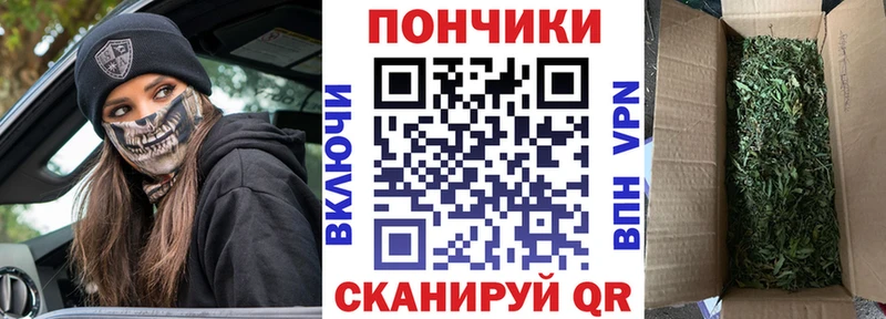 Купить  Урюпинск  Каннабис SATIVA & INDICA 